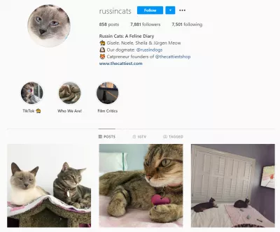影响者如何在Instagram中使用卷轴？ : https://www.instagram.com/russincats/?hl=zh-CN