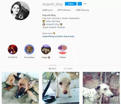 15位網紅給我們展示了他們的Instagram個人資料-並給我們了他們的秘密醬料 : Instagram上的@dogwith_blog