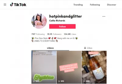 TikTokプロフィールを表示-8つの優れたTikTokプロフィール : TikTokの@hotpinkandglitter