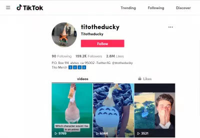 Muéstranos tu perfil TikTok - 8 excelentes perfiles TikTok : @titotheducky en TikTok